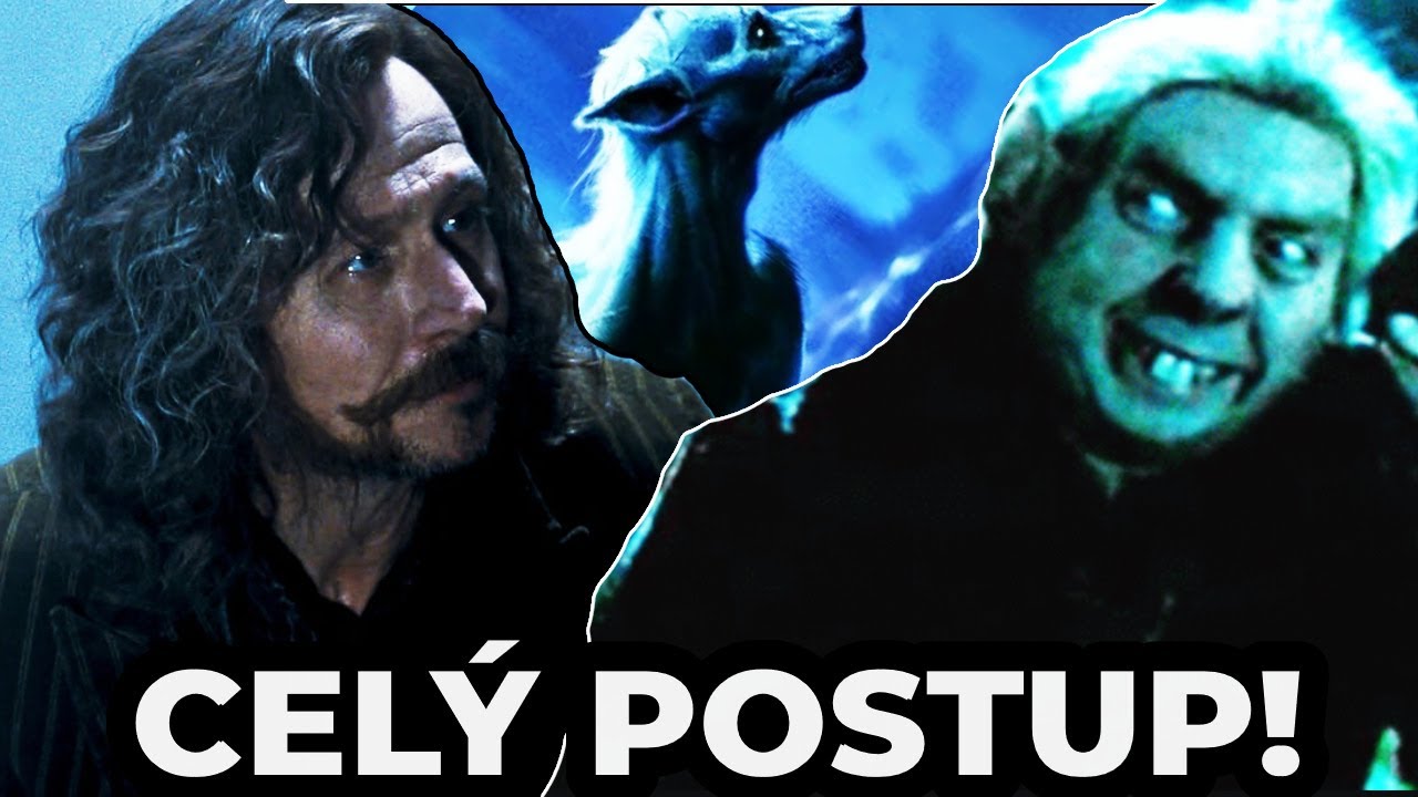 JAK SE STÁT ZVĚROMÁGEM? Může si kouzelník vybrat zvíře?