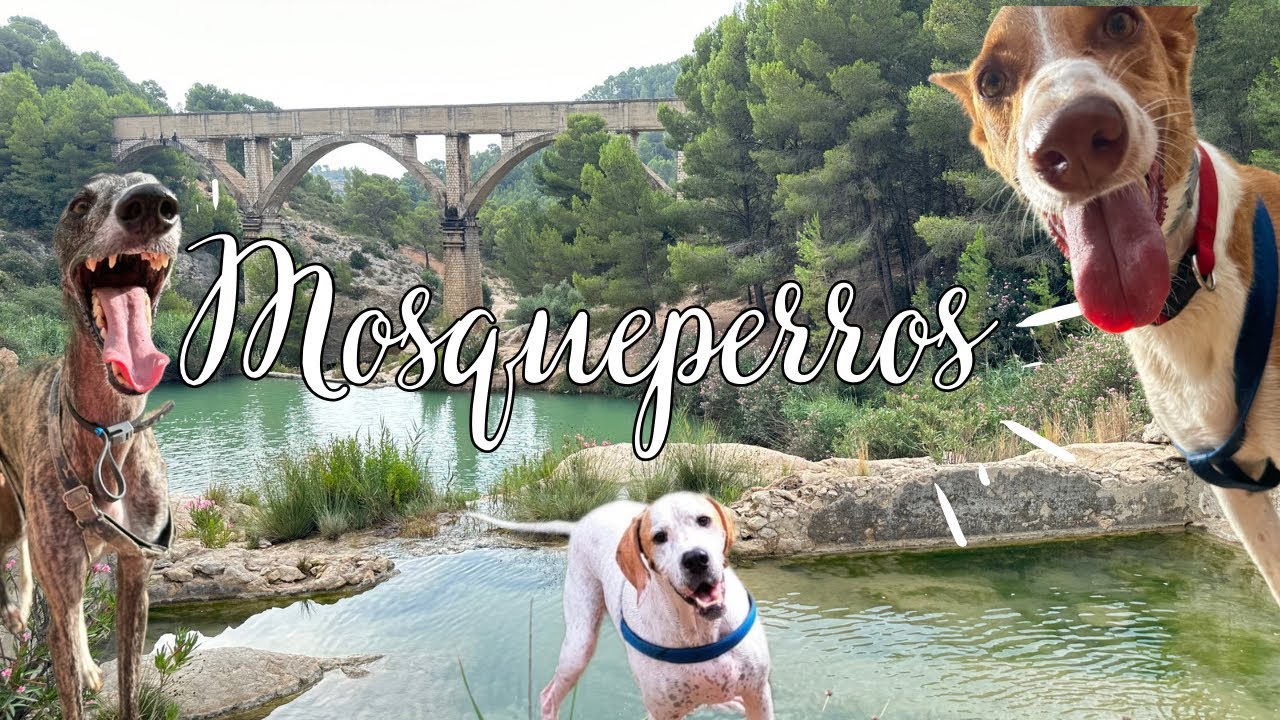 Ruta perruna Fuente caputa completo