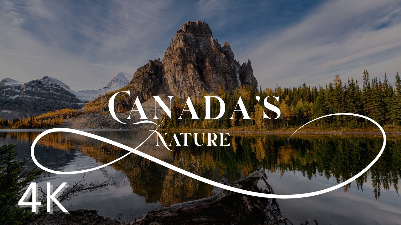 Canada’s Majestic Nature 🌲 Relaxing Ambience & Calm Music | Peaceful Viewing & Deep Relaxation