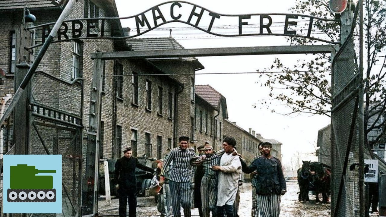 The Liberation Of Auschwitz