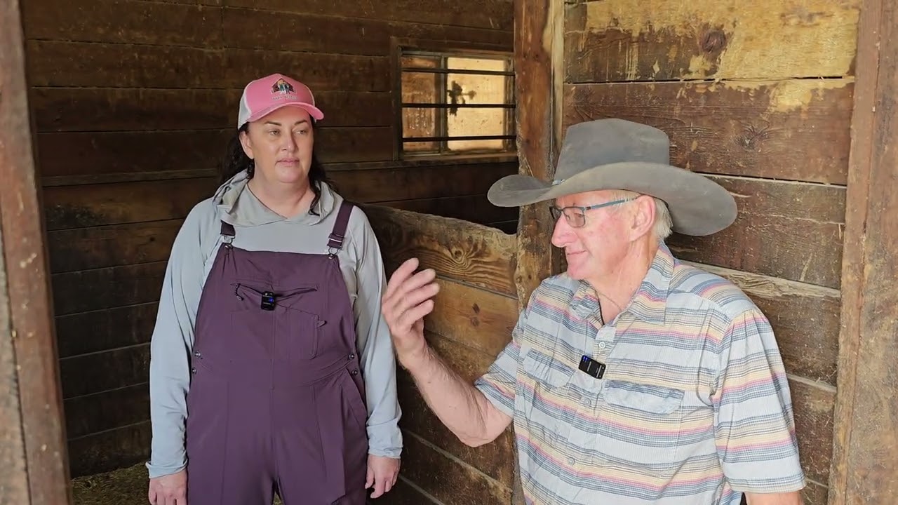 Добро пожаловать в конюшню в True Partnership! 🐴 | Barn Besties