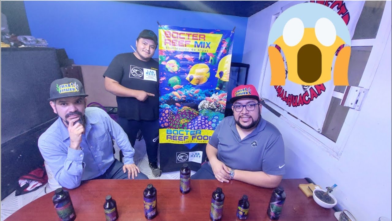 Lab Reef Mix: Haz tu Ciclado Express con estos Productos (Chars Fishers)