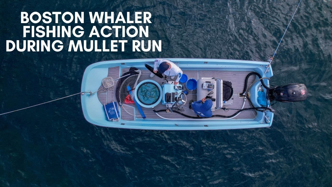 Running and Gunning on a 17' Whaler During the Mullet Run!