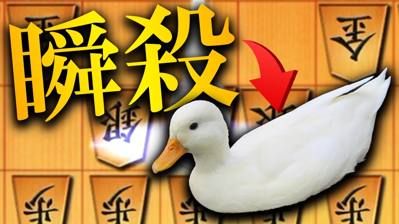 【神研究】このアヒル対策使ってみな、一瞬でトブぞ