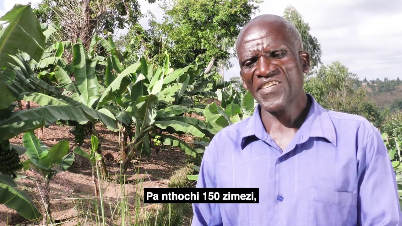 KUTUKULA ULIMI M'MALAWI    NTHOCHI NKHATABAY( Episode 4)