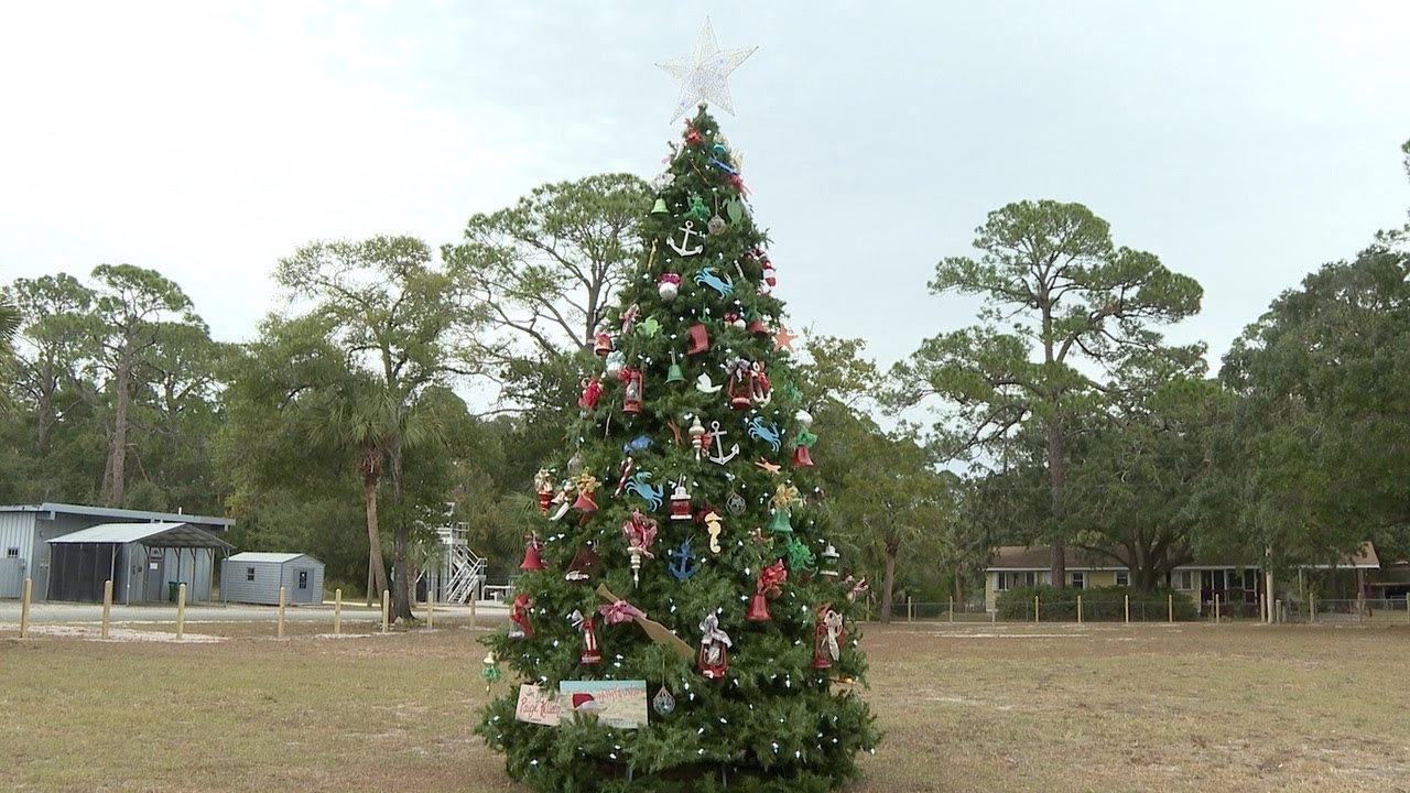 Christmas is coming to town in Wakulla County with multiple festive events this weekend