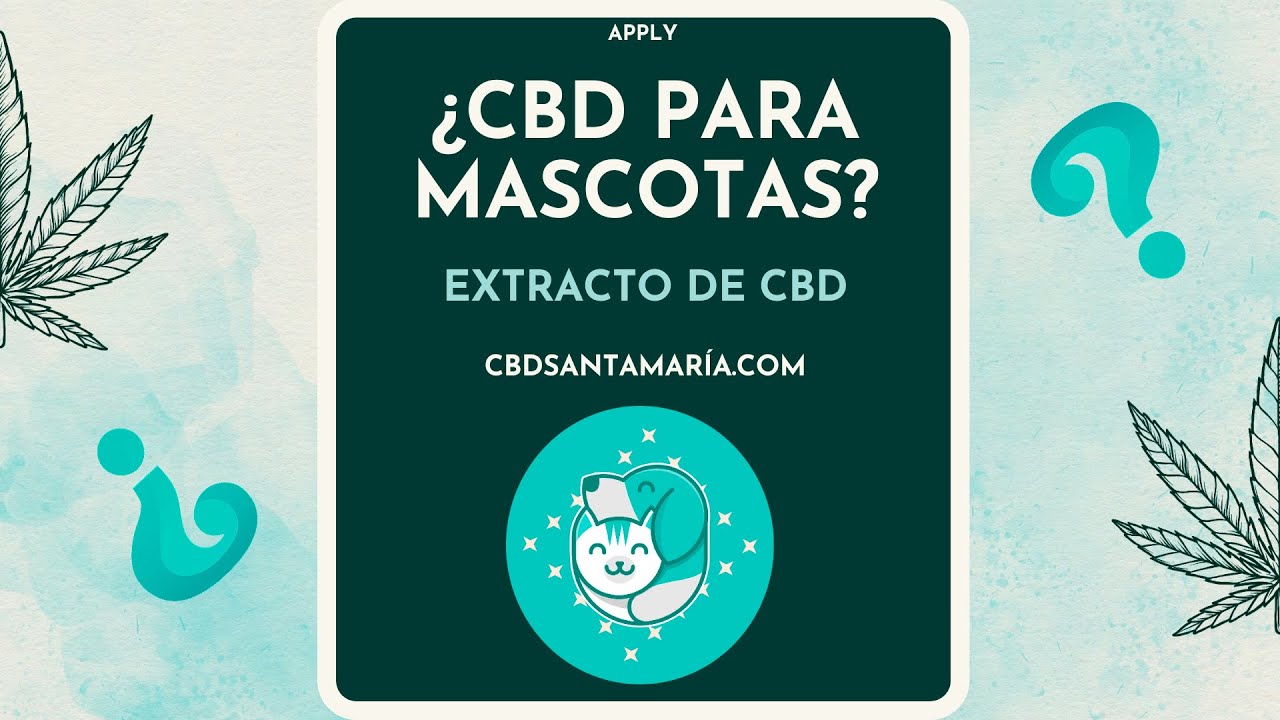 EXTRACTO DE CBD PARA MASCOTAS
