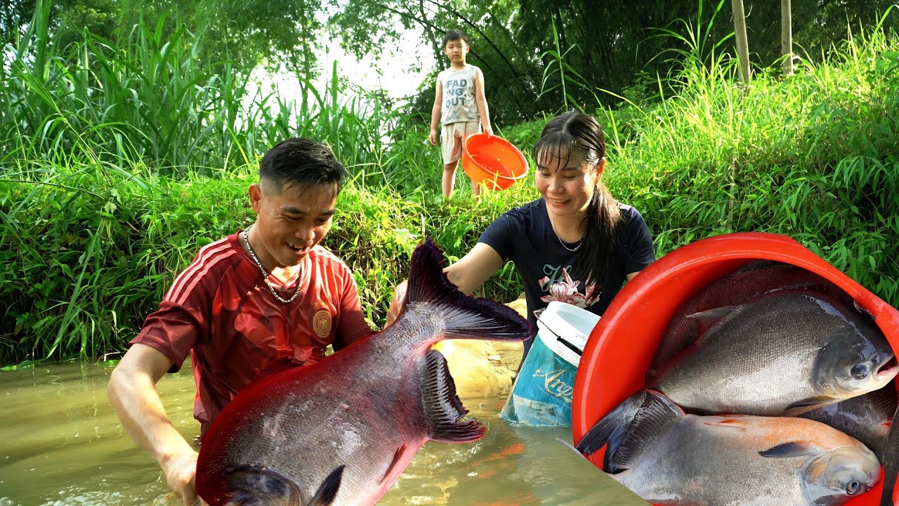 Harvesting Big Fish, Selling Them, and cooking a Traditional Family Meal. Homemade pumpkins caker. 