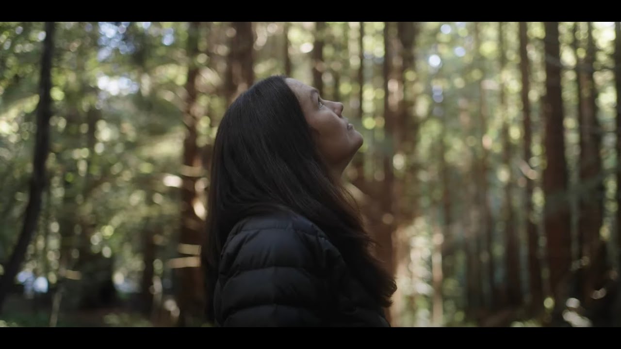Climate Resilience: Supporting climate resilient California state parks