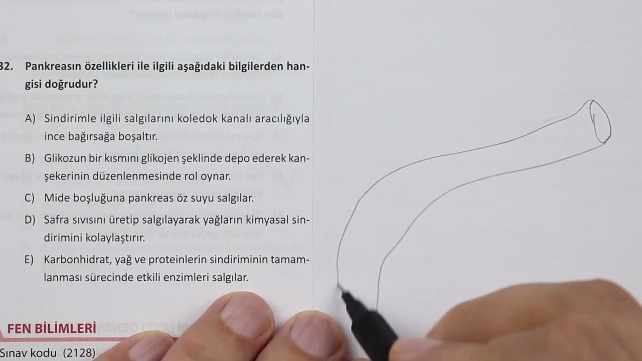 ÖZDEBİR Son Prova AYT Deneme Biyoloji Çözümleri(2128)