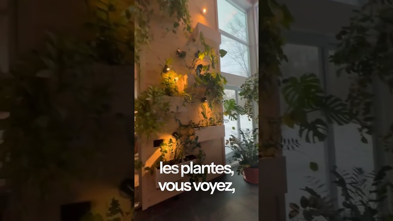 Quel type de serre choisir pour ta future maison de rêve ?