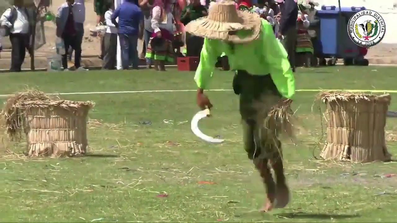 HINCHACAS Y CHOTAS - CAMANA - AREQUIPA - PERU