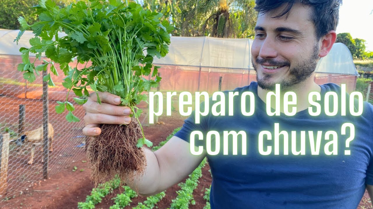 TIRANDO DÚVIDAS SOBRE HORTA | Horta Fenato responde