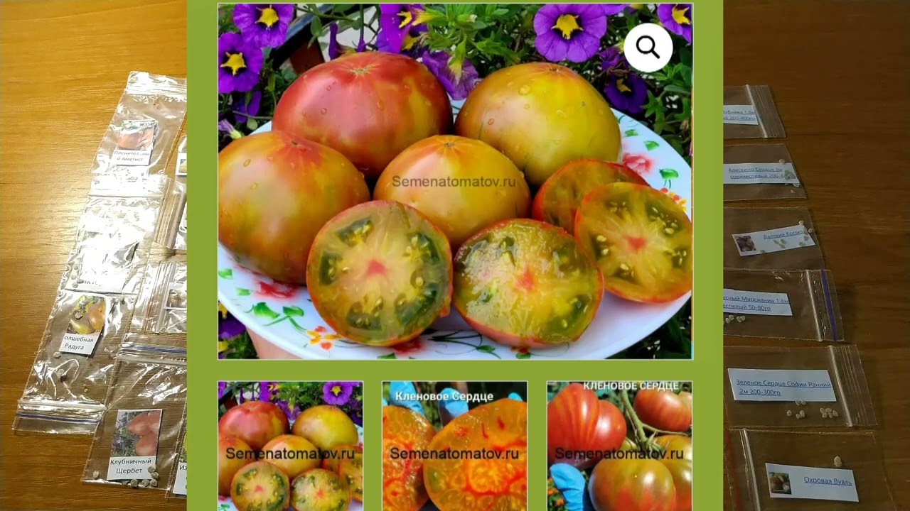 ТОМАТЫ от С.Сааковой 35 сортов на новый сезон. Вкуснота и красота!