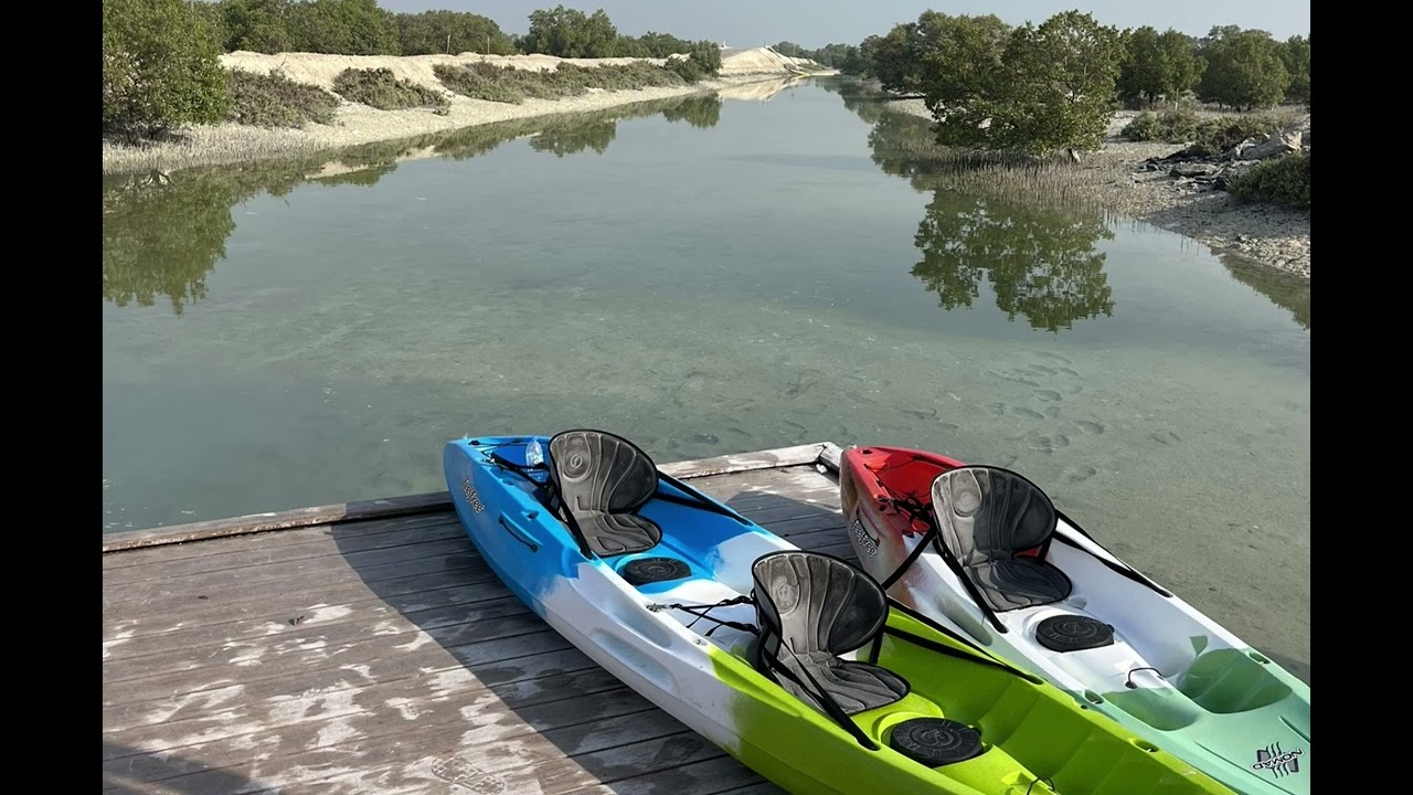 Mangrove Kayaking Magic | Ultimate Relaxation 4K | Frame| TV Wallpaper and Screensaver 🛶🥬☀️