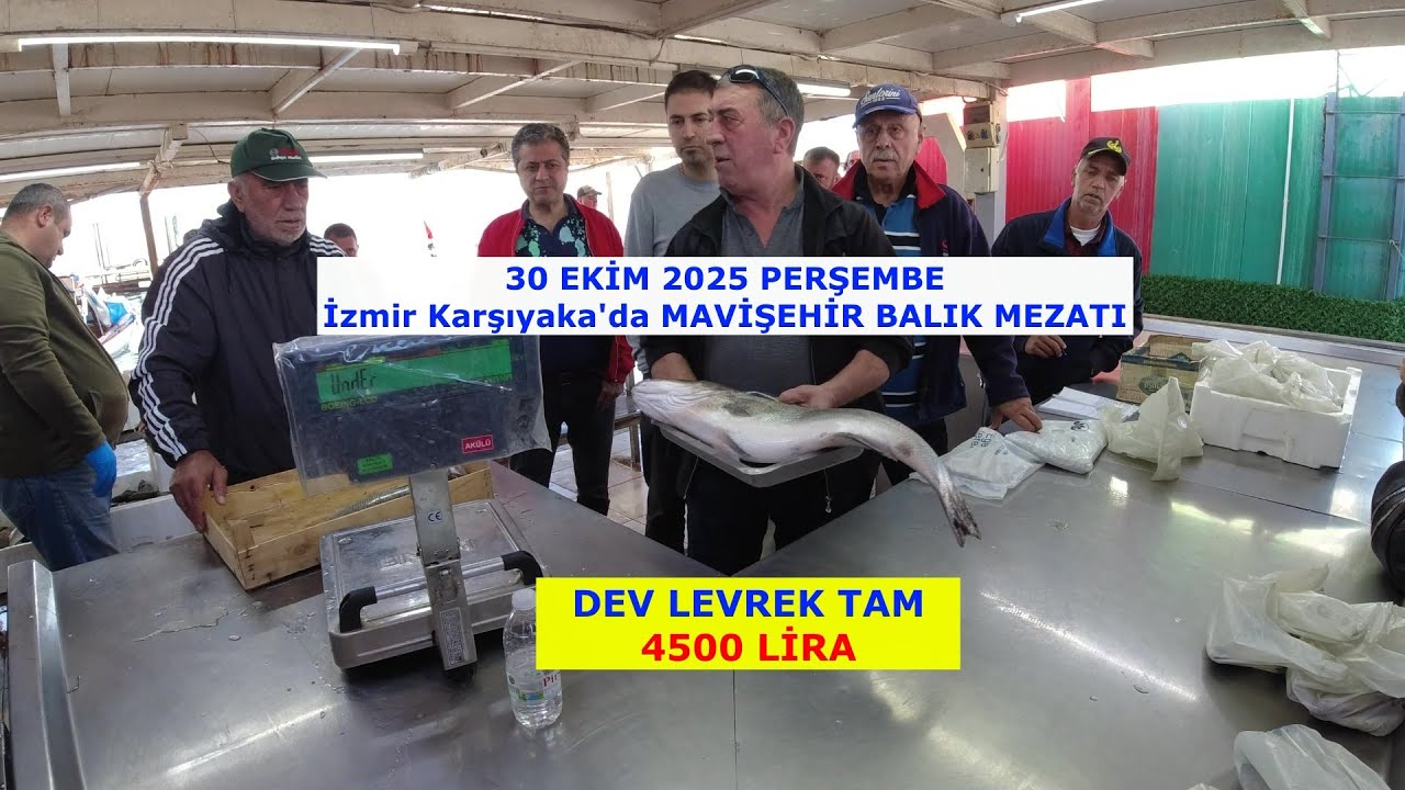 30 EKİM 2025. MAVİŞEHİR BALIK MEZATI.