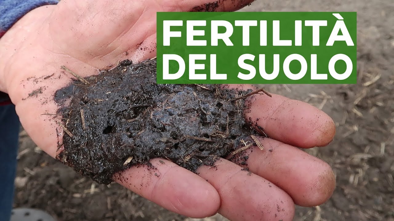 Fertilità del SUOLO, il metodo dell'acqua ossigenata  | ORTO