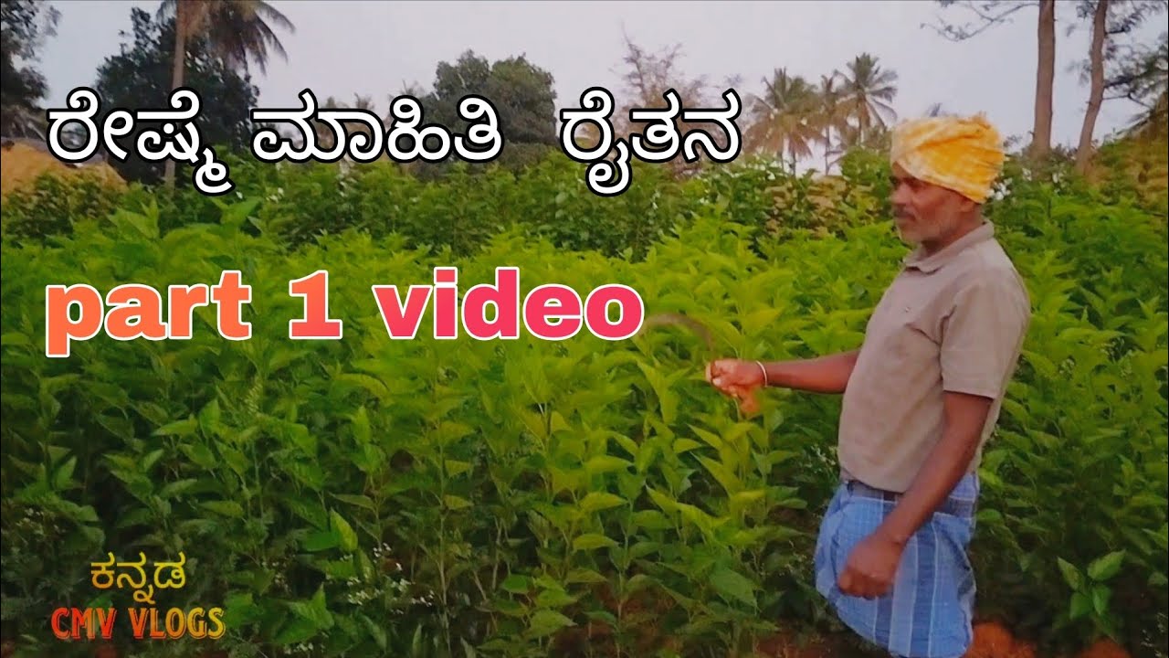 ರೇಷ್ಮೆ ಮಾಹಿತಿ  ರೈತನ