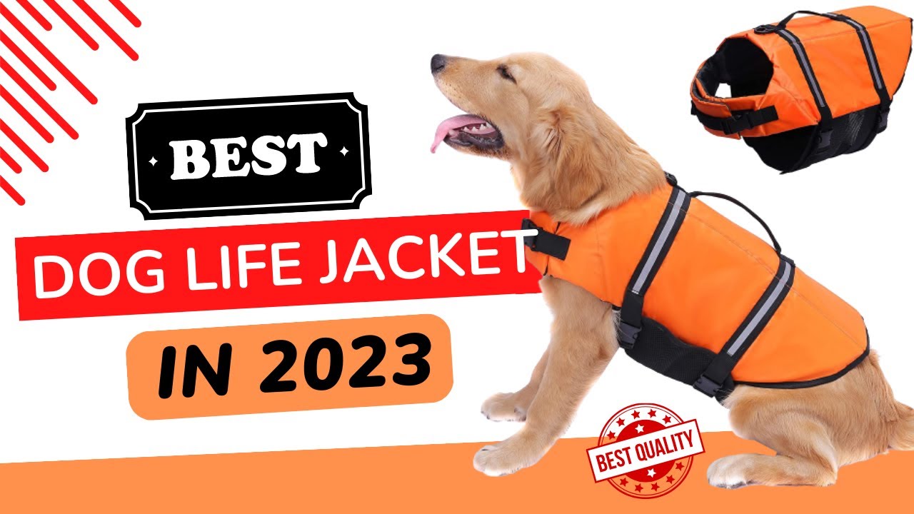 Best Dog  Life Jackets Review in 2023 | Updated 5 Products