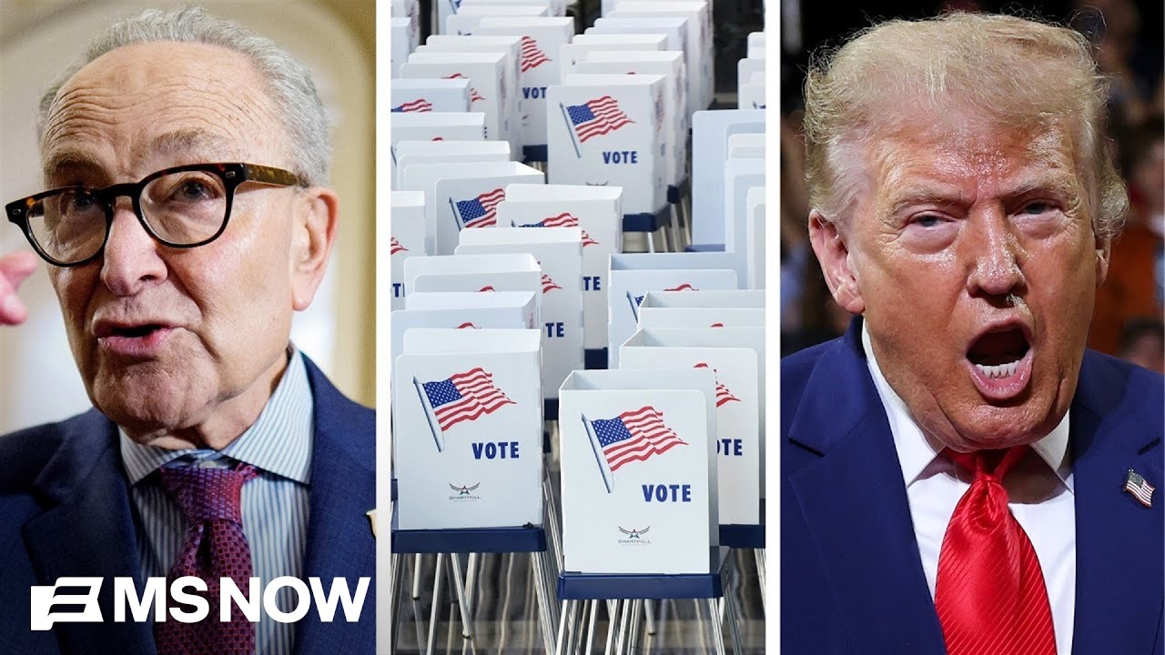 'DOOMSDAY' scenario: Schumer says Dems preparing for possible Trump midterms meddling
