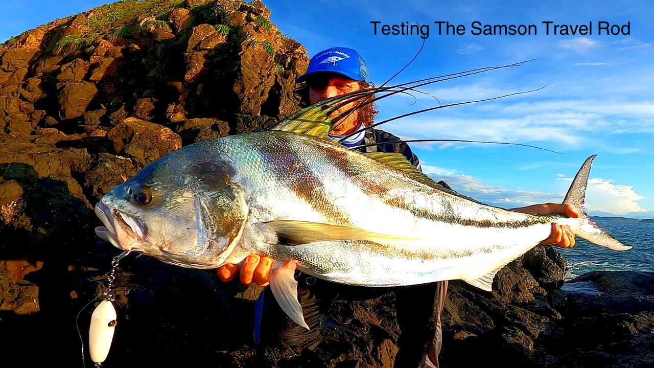 Roosterfish On Lures In Central America! Testing The Samson 12ft Travel Rod