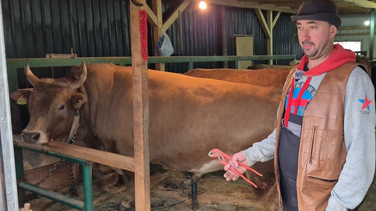 Život bez pauze: Anes Solak - rudar, farmer i koridaš