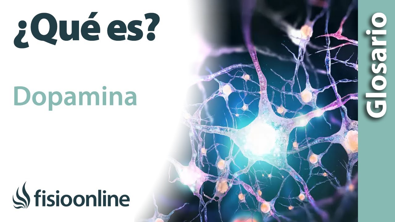 DOPAMINA | Qué es, cuál es su función, dónde se encuentran e importancia para el cuerpo