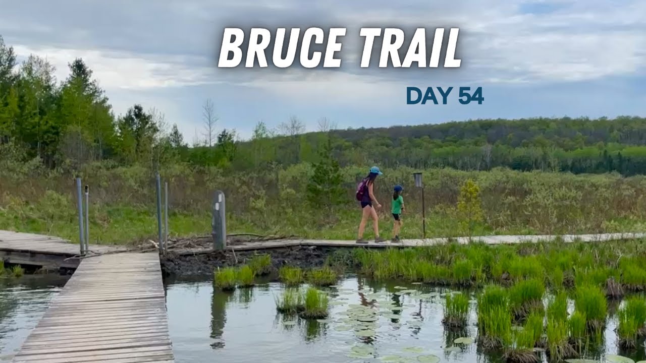 Hiking the Bruce Trail through Bognor Marsh Conservation Area - End to End Day 54