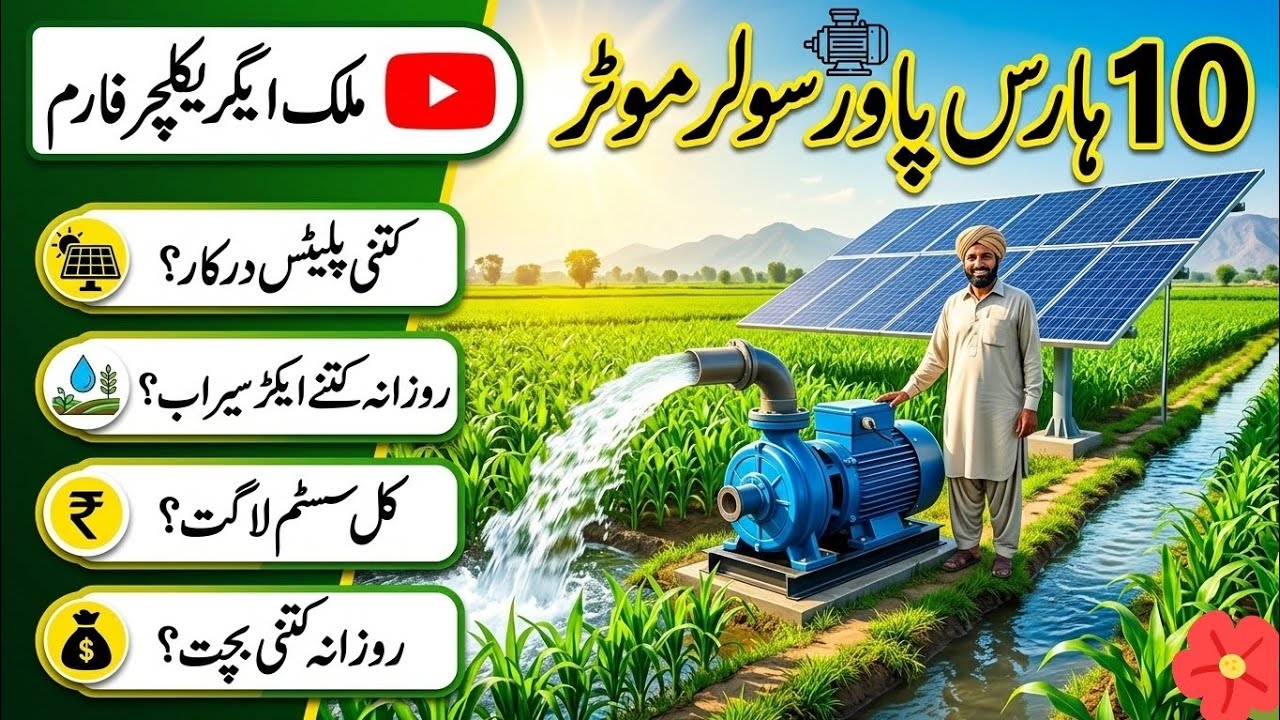 دس ہارس پاور سولر موٹر ٹوٹل خرچ کتنی پلیٹس درکار روزانہ کتنا رقبہ سیراب کرتی ہے۔روزانہ بچت