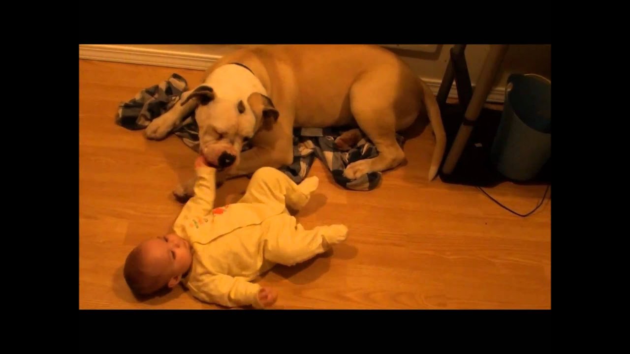 Gentle Giant with baby