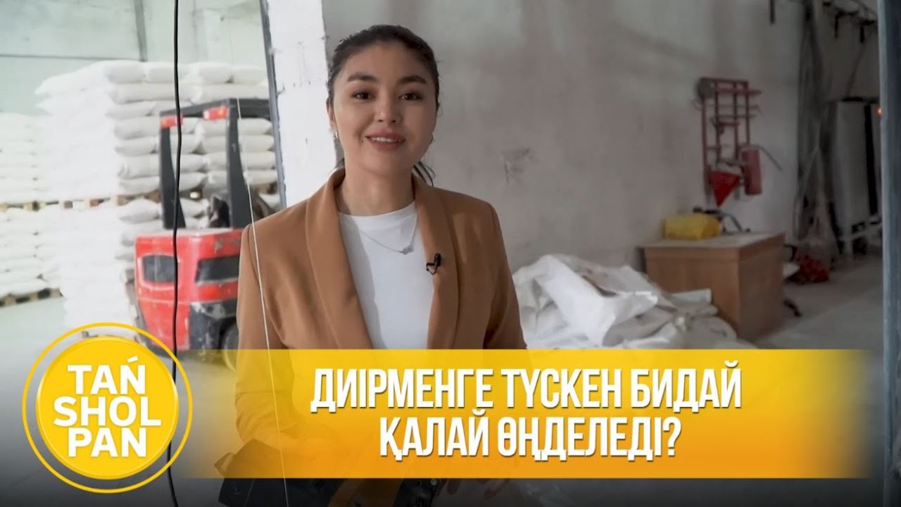 Диірменге түскен бидай қалай өңделеді?