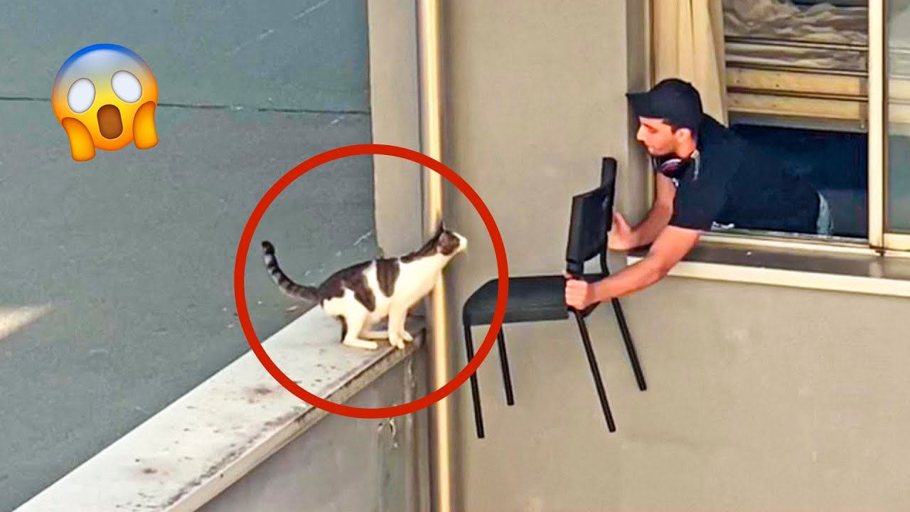 The Most Inspiring Animal Rescues Of The Year