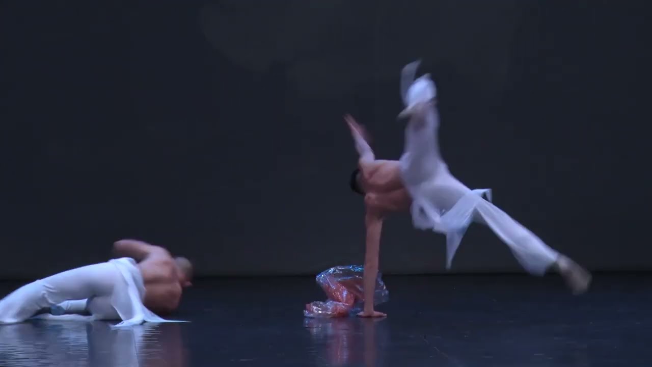 NEW FREE DANCE - THE SWAN