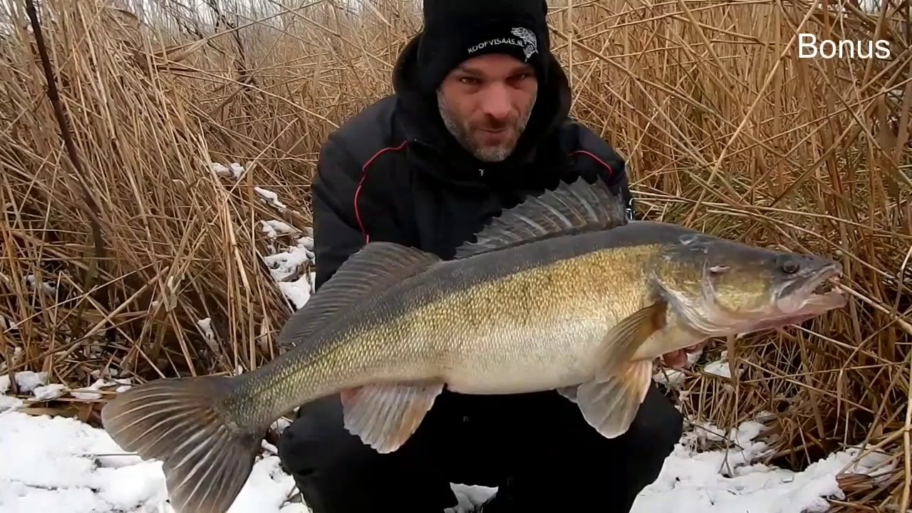 Albert Dekker snoekseizoen 2016/2017