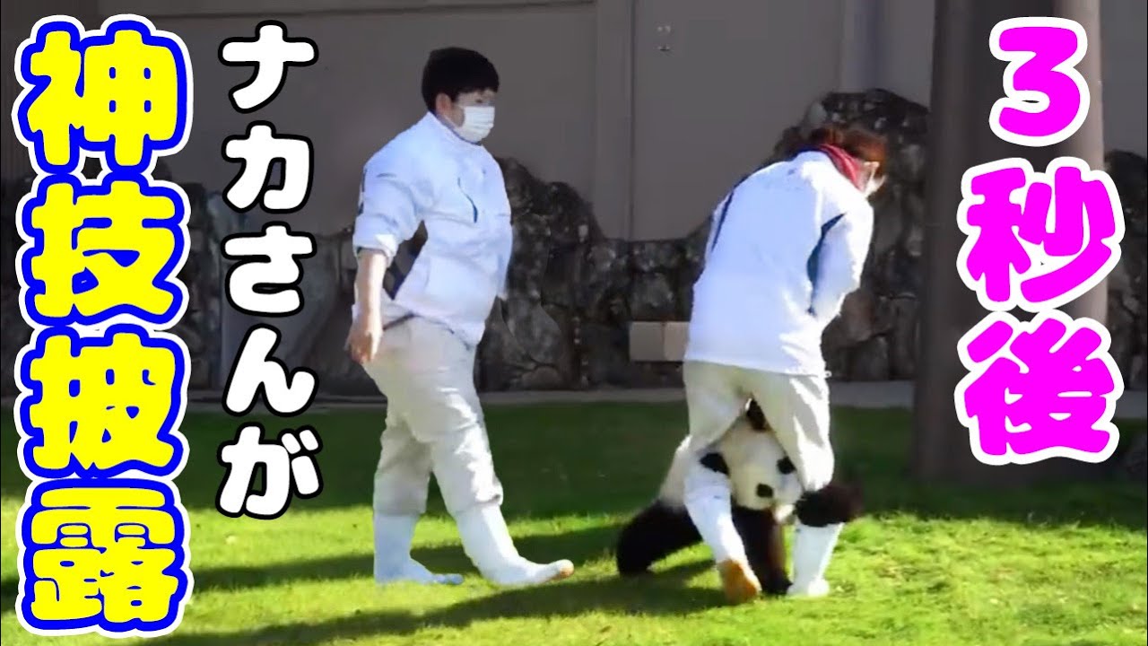 これできるのナカ飼育員だけ😊楓浜は完全に一目置いてるよね😍