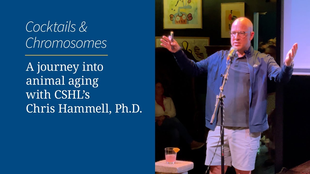 A journey into animal aging with CSHL's Chris Hammell, Ph.D.