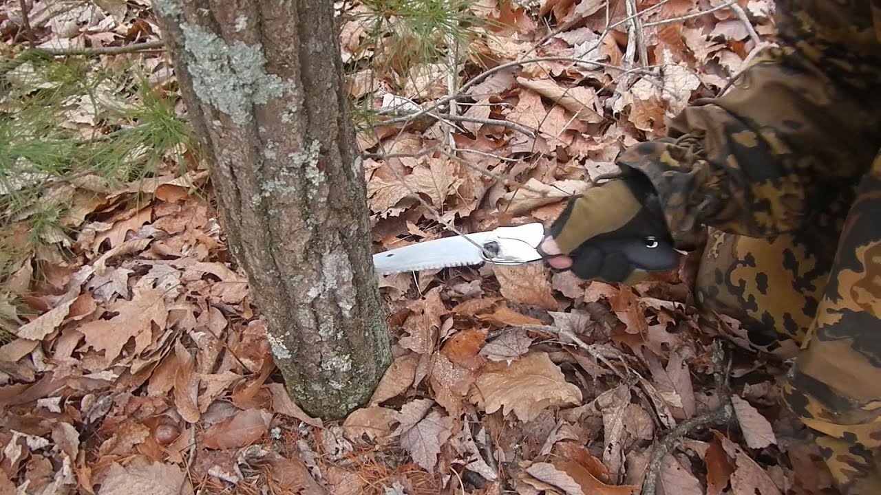 Bushcraft Folding Saw Comparision: Silky PocketBoy Vs Bahco Laplander