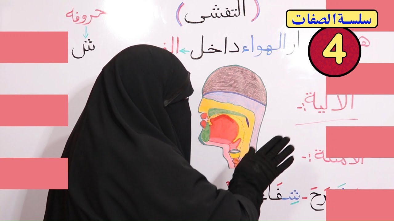 (36) صفة التفشى (4) ضمن الصفات التي ليس لها ضد ،شرح واضح ومبسط،تابع {سلسة الصفات}