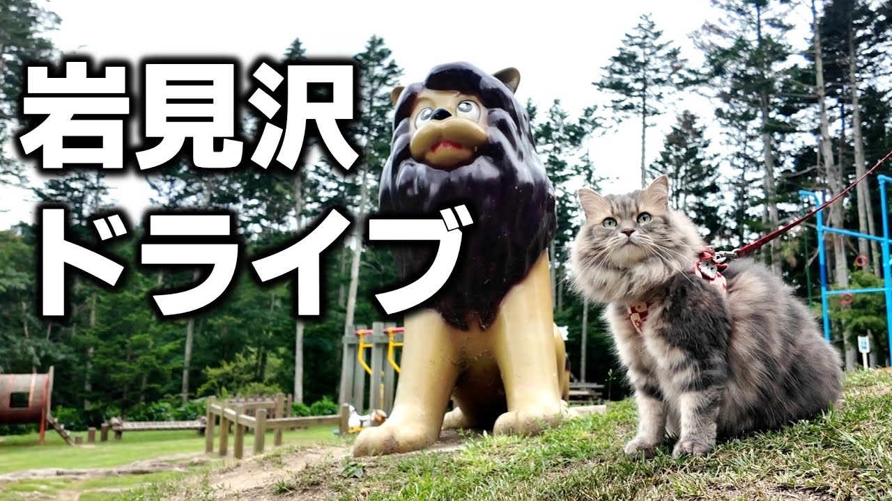【北海道ドライブ】ふわふわパンケーキと道産食材こだわりのカフェ！　子供も遊べるファミリー向け公園も探索！　#ドライブ #北海道 #岩見沢