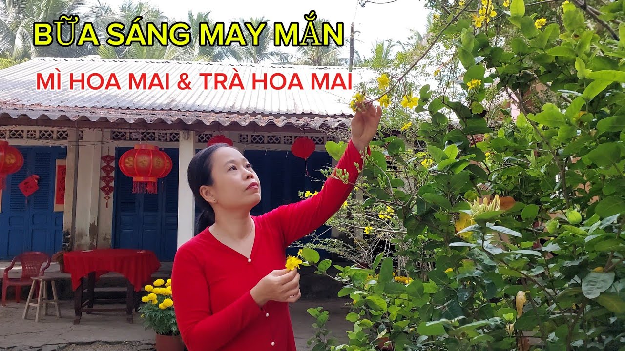 [234] Bữa Sáng May Mắn: Khởi Đầu Năm Mới Nhiều Thành Công| Mì Hoa Mai & Trà Hoa Mai