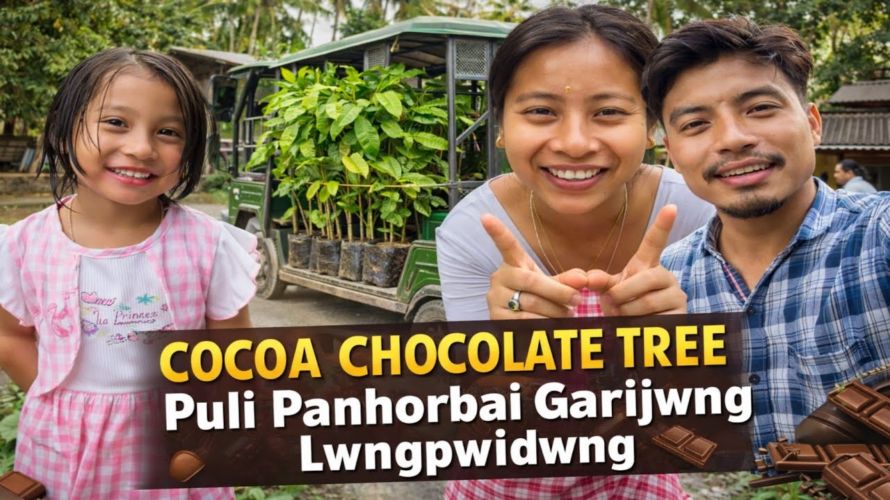 Cocoa Chocolate Puli Panhorbai Garijwng Langpwidwng Dinwi 🍫@dwimubasumatary6647 