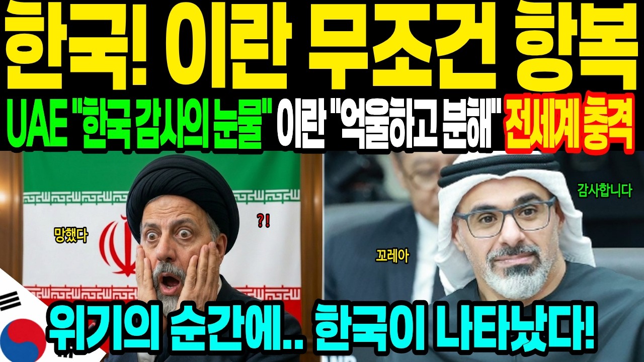 [해외감동사연] 1000조 자산가 UAE가 미국산 패트리엇 버렸다? 미사일 폭격에 펜타곤 패닉! 한국 '비호복합'과 '천궁'이 중동 하늘 쓸어버린 72시간의 기적｜미국 초비상 사태