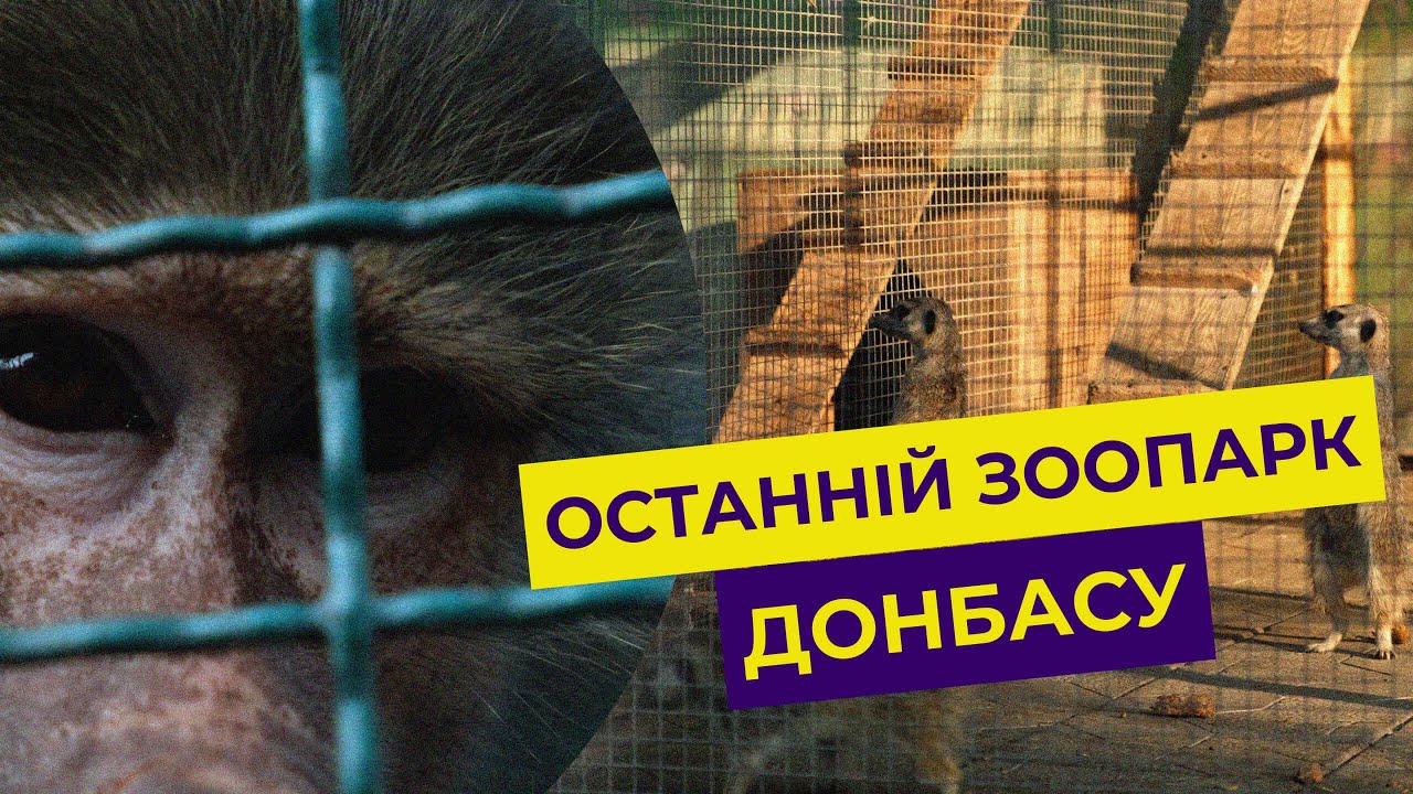Це прифронтовий зоопарк за 50км до війни. Білицьке, Донеччина