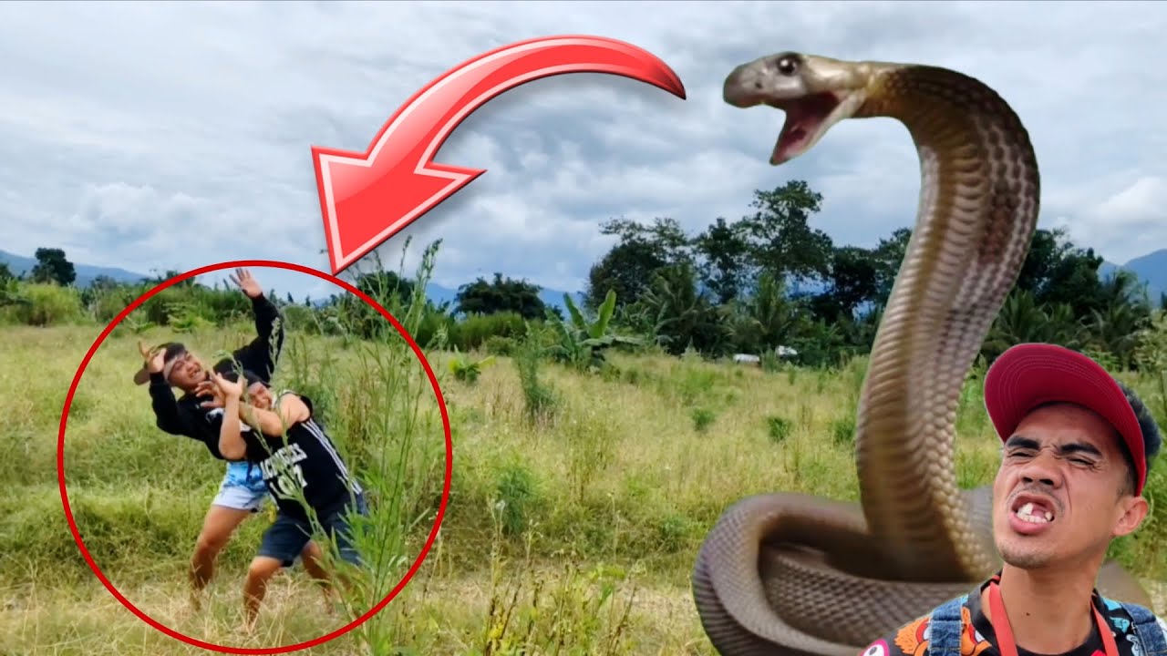 Ang binuhi ni takloy | Bonjing ug joyaks nahadlok