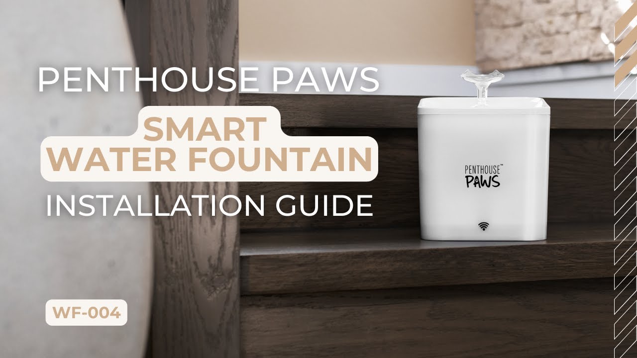 Penthouse Paws Smart Water Fountain Installation Guide!