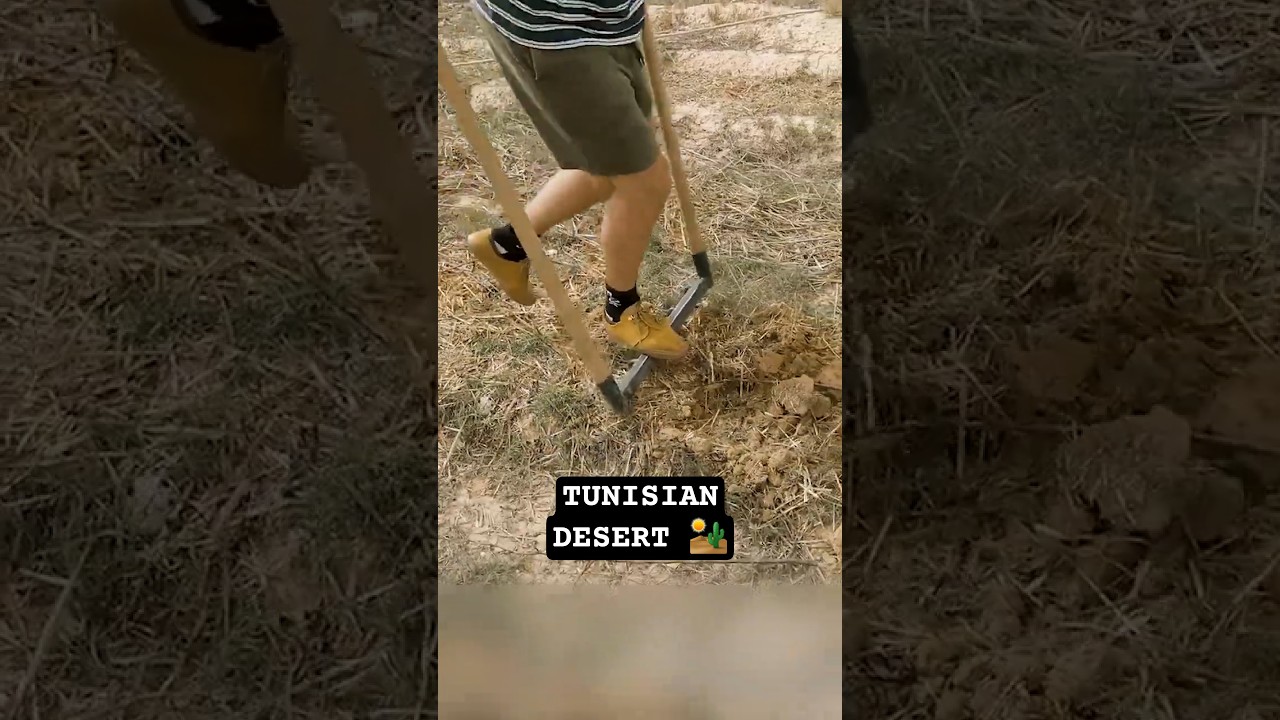 Working in the Tunisian desert 🇹🇳