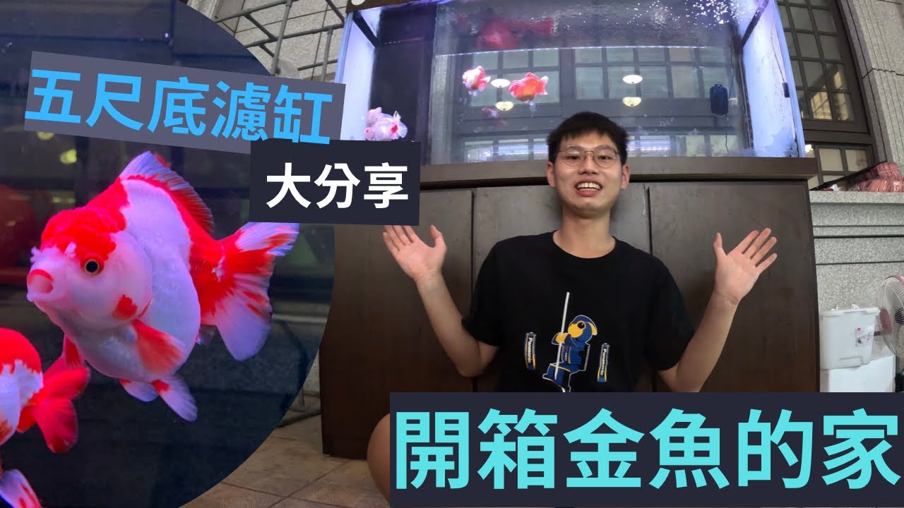 開箱金魚的家 五尺底濾缸大分享!之前有養魟魚？？#金魚 #開箱 #魚缸