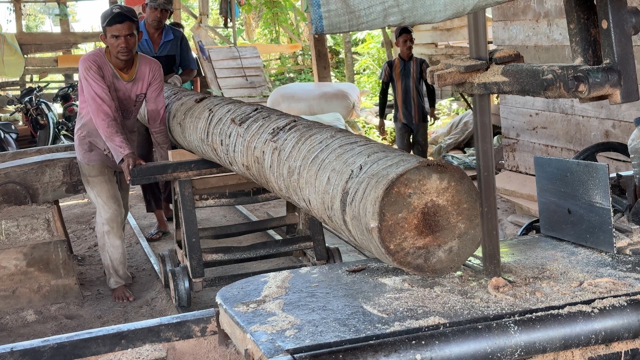 Improving the Cutting Efficiency of 5x7 Coconut Wood with a Sawmill