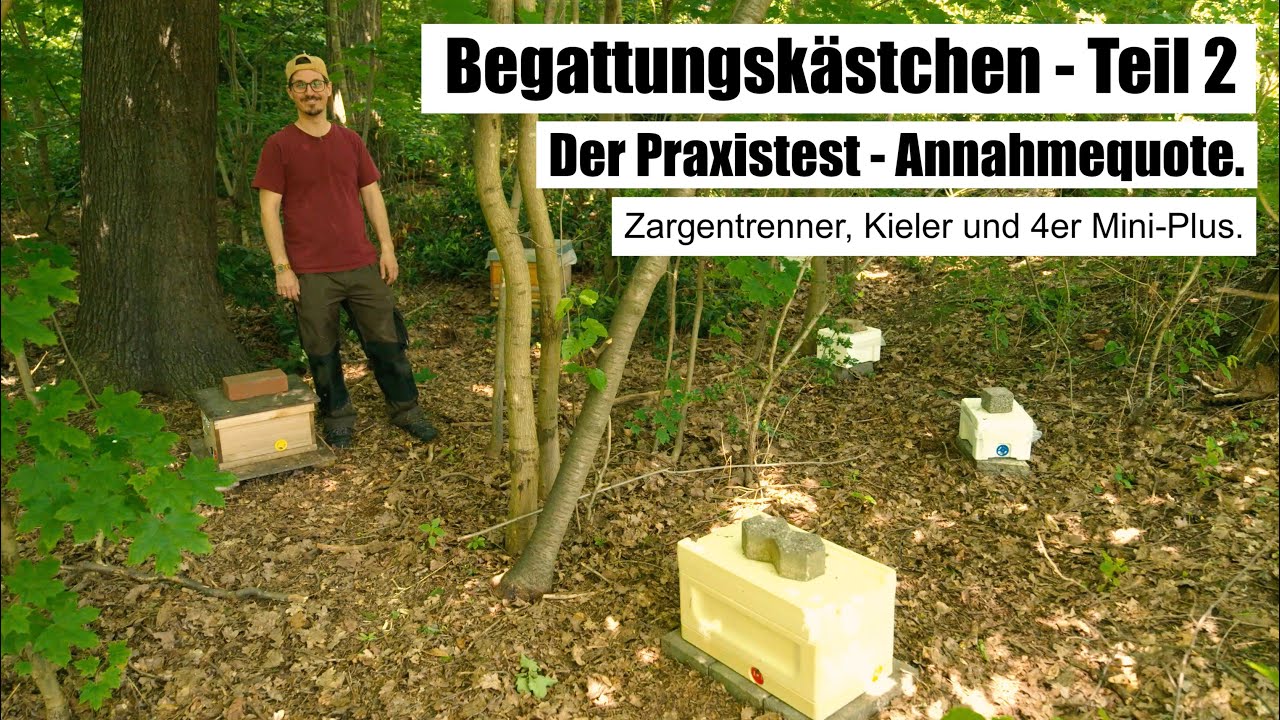 Begattungskästchen - Teil 2 - Praxistest - Annahmequote - Halbzargentrenner, Kieler, 4er Mini-Plus.