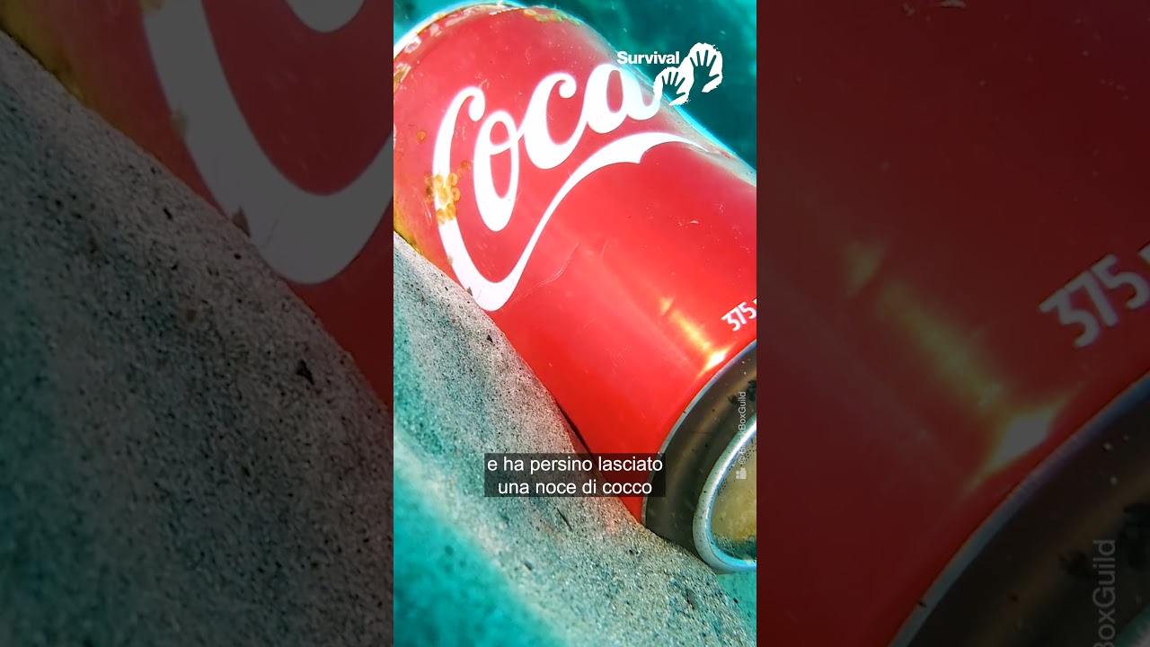 🚨 Influencer arrestato per aver cercato di contattare i Sentinelesi